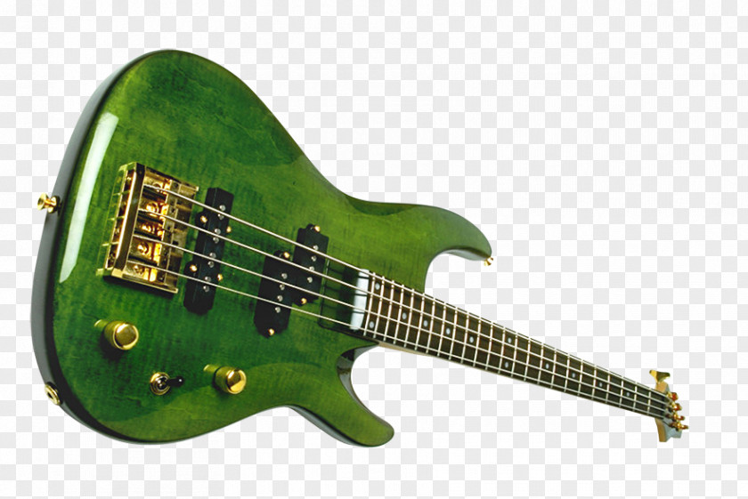 Bass Guitar Acoustic-electric Slide PNG