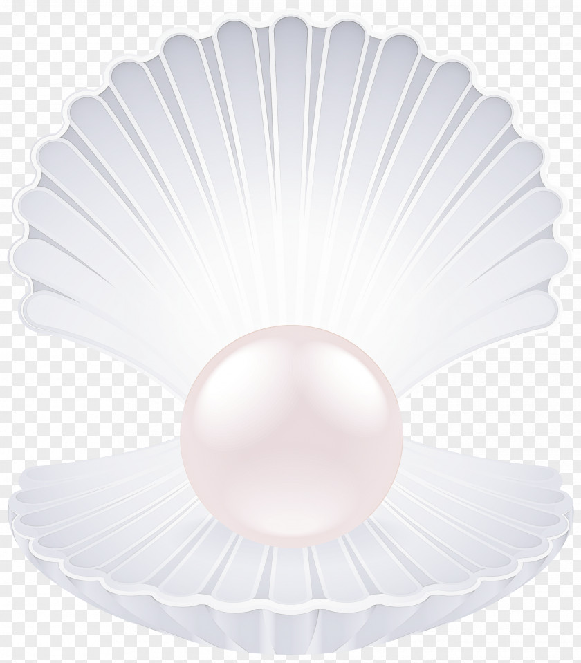 Ceiling Pearl White Coffee Filter PNG