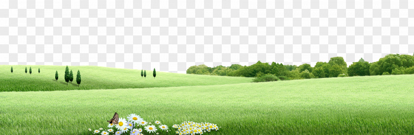 Flowers And Grass Elements PNG