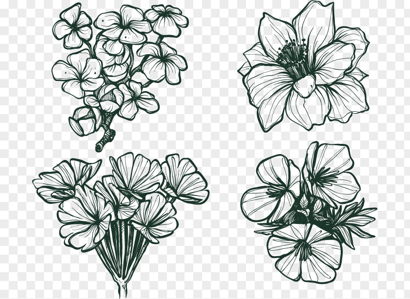 Hand Drawn Sketch Winter Flowers Flower Euclidean Vector Cold Snow PNG