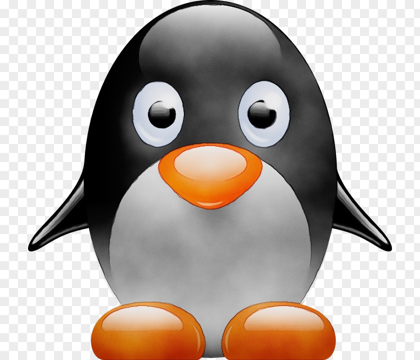 King Penguin Animation PNG