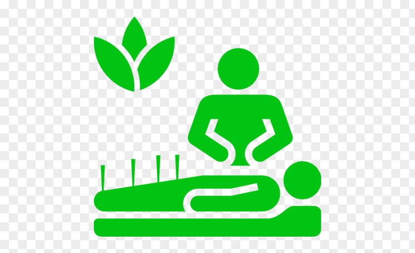 Medicine Alternative Health Services Physician Therapy Care PNG