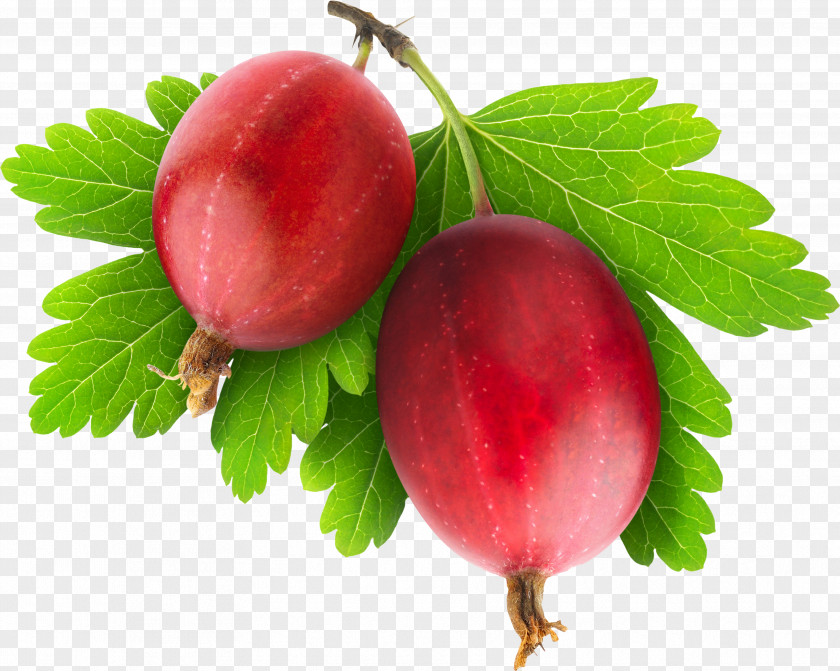 Strawberry Gooseberry Kompot Blackcurrant PNG