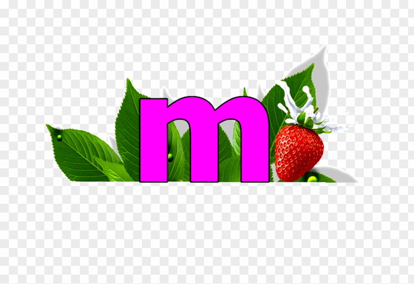 Strawberry Logo Brand Food PNG