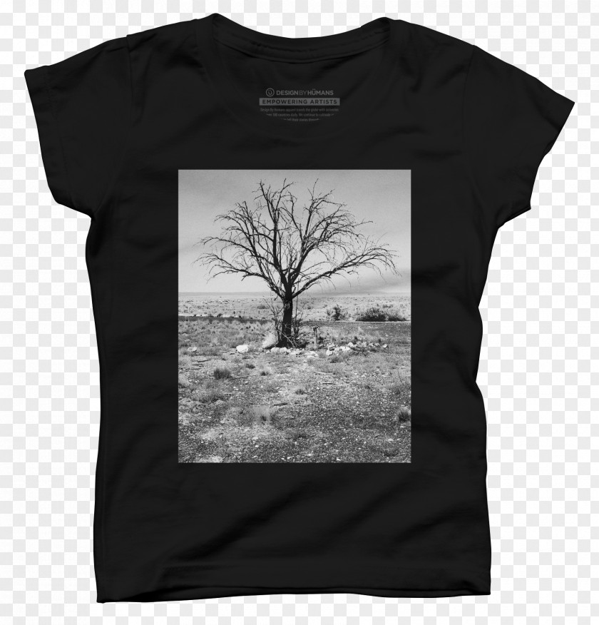 T-shirt Arizona Sleeve Photography Landscape Painting PNG