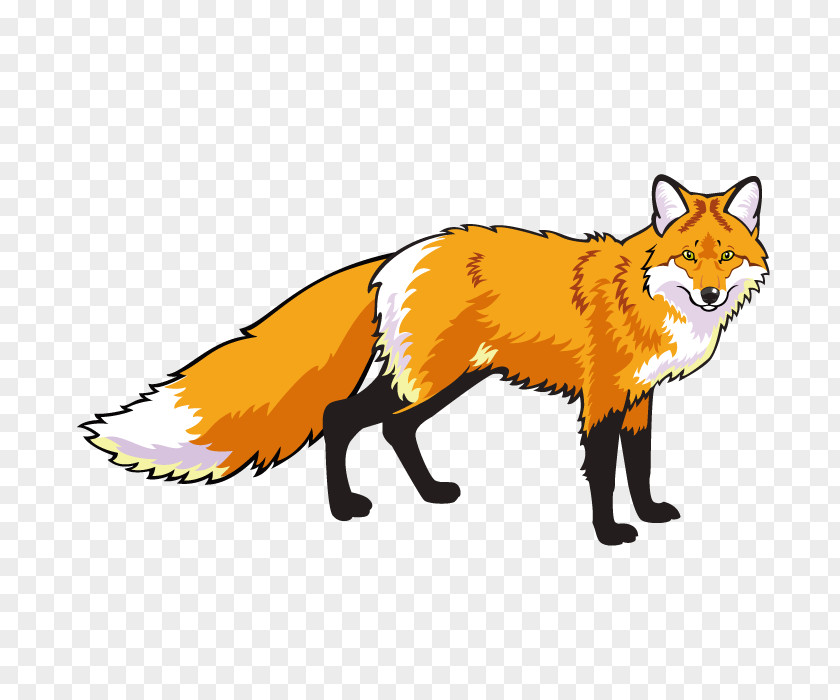 Yellow Fox Red Clip Art PNG