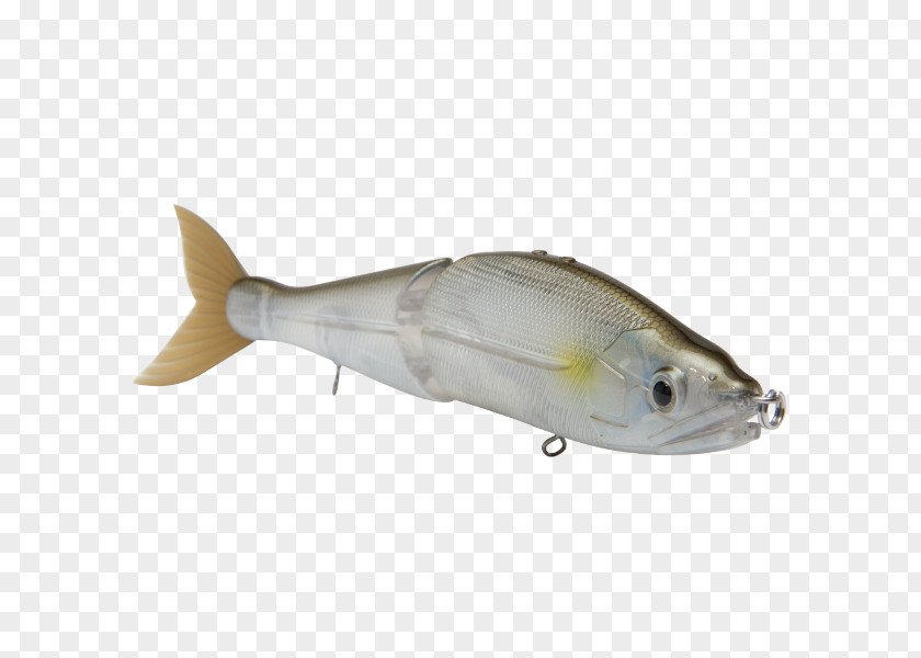 Fish Milkfish Fishing Baits & Lures Products PNG