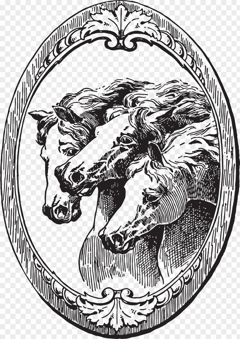 Illustrations Mustang Pony Wild Horse Clip Art PNG