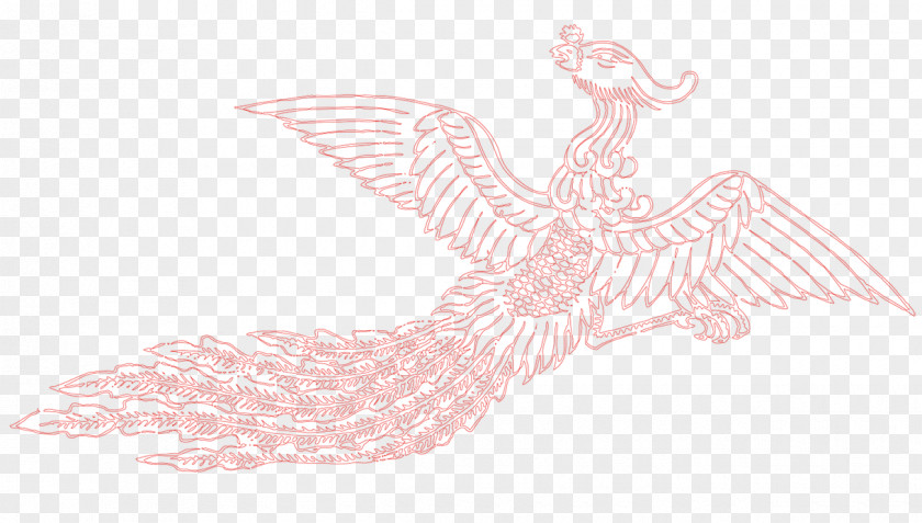 Red Phoenix Water Bird Wing Text Illustration PNG