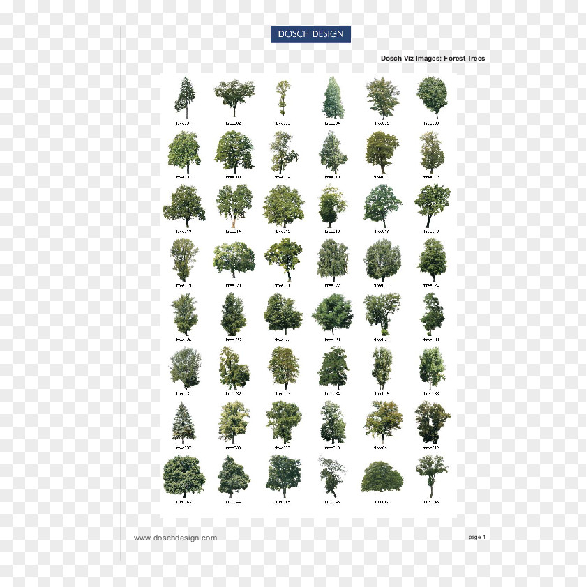 Tree 2D Shopping Bags & Trolleys List .de PNG