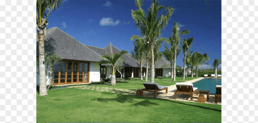 Vacation Arecaceae Resort Property Lawn PNG