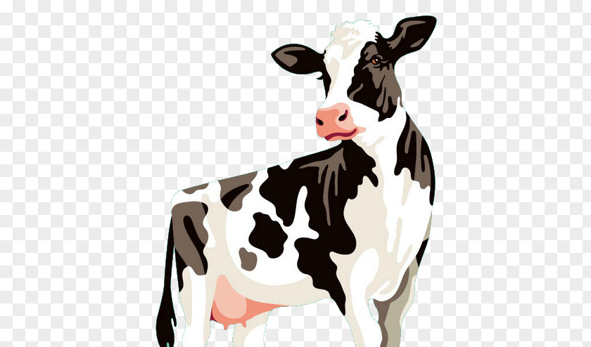 Cows Cow Painted Illustration Holstein Friesian Cattle Zau De Câmpie Luduș Farm PNG