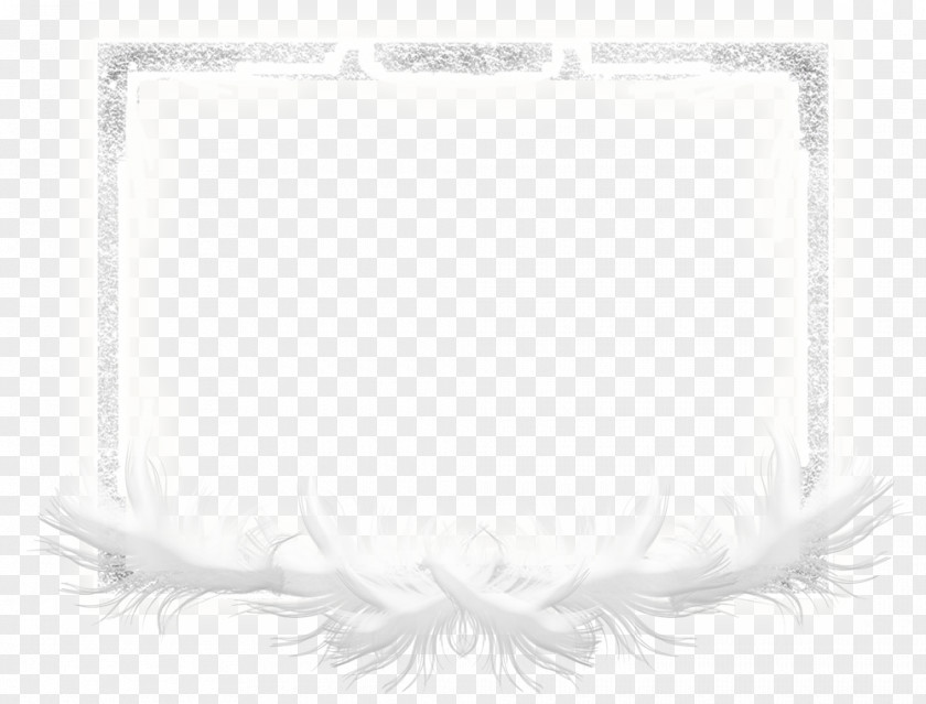 Feather White Picture Frames Rectangle PNG