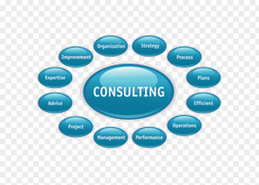 Business Consultant Management Consulting Plan PNG
