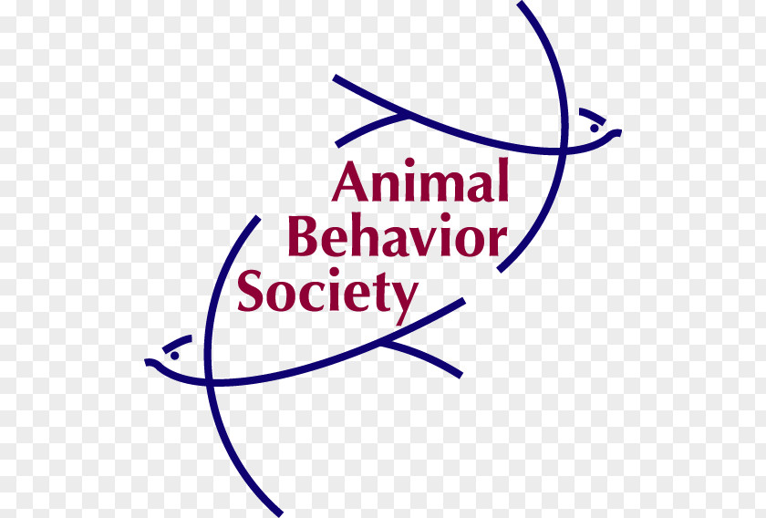 Dog Puppy Cat Animal Behavior Society Pet PNG