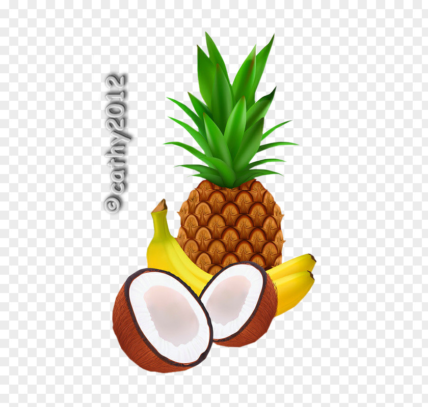 Fruit Exotique Coconut Water Pineapple Milk Clip Art PNG