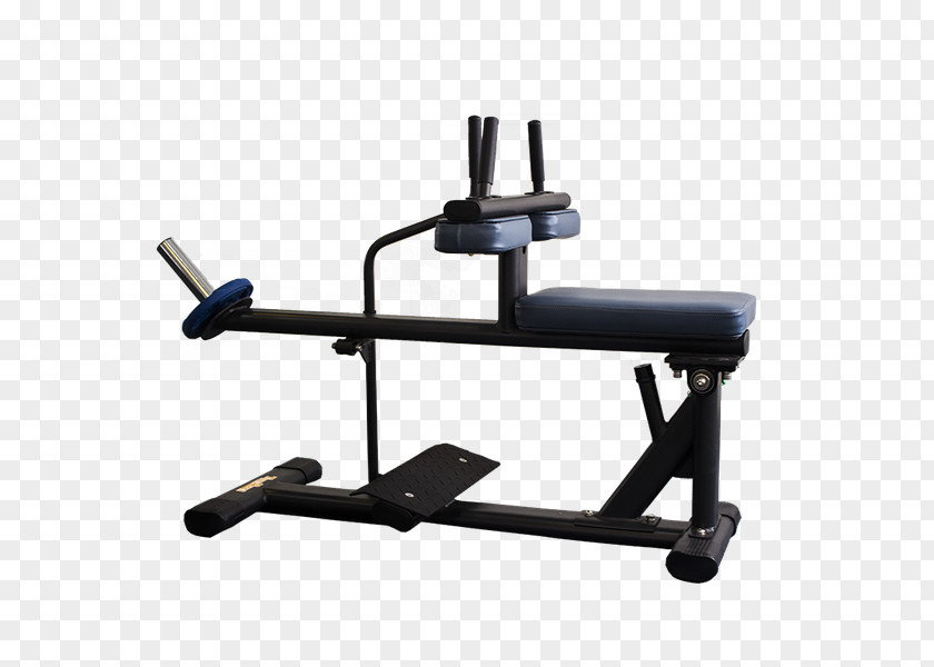 Gymaster Store Weightlifting Machine TigerSport Product Sports PNG