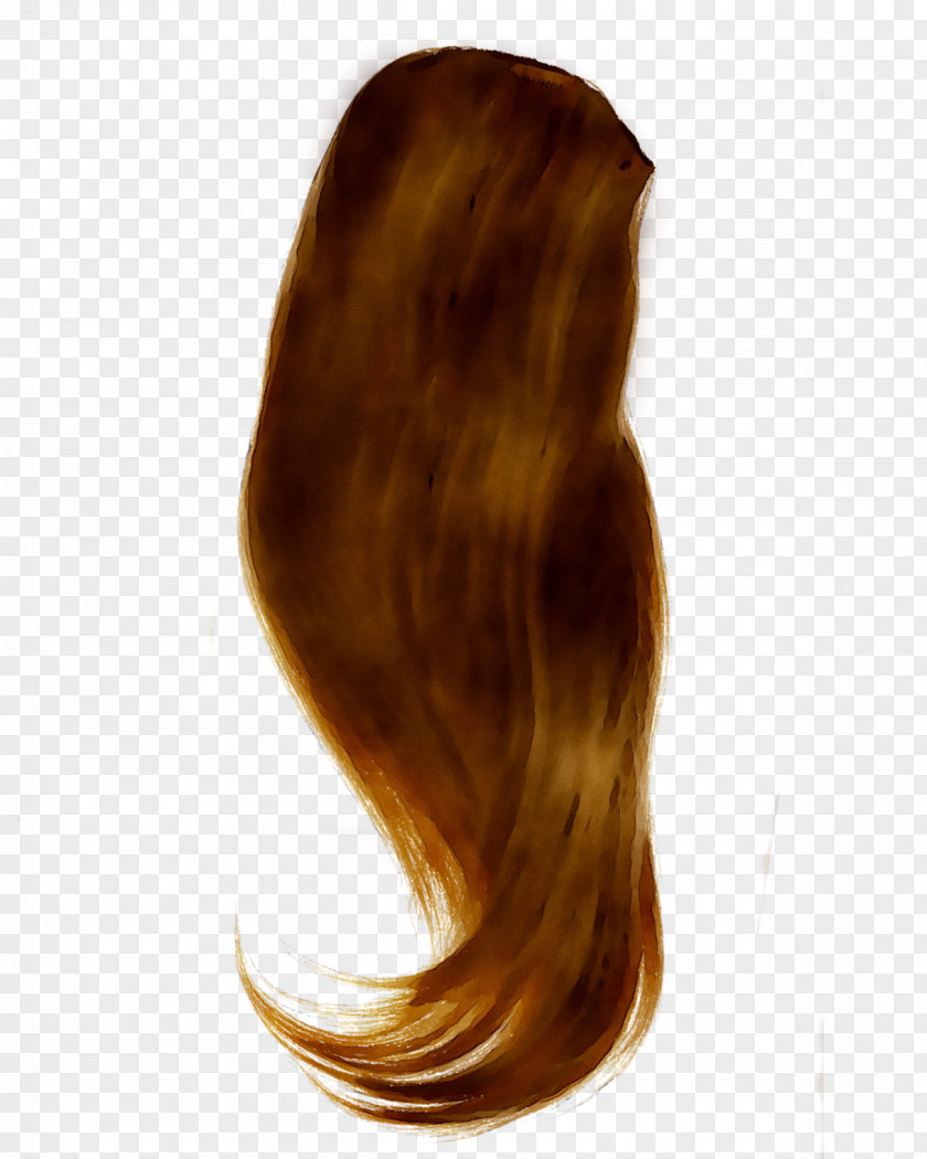 Hair Coloring Layered Long Brown PNG