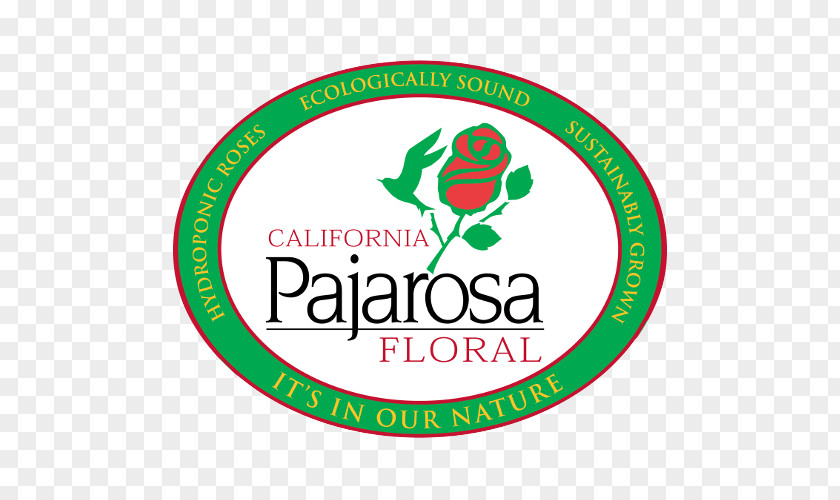 Hybrid Tea Rose California Pajarosa Floral Monterey Bay Watsonville Logo PNG