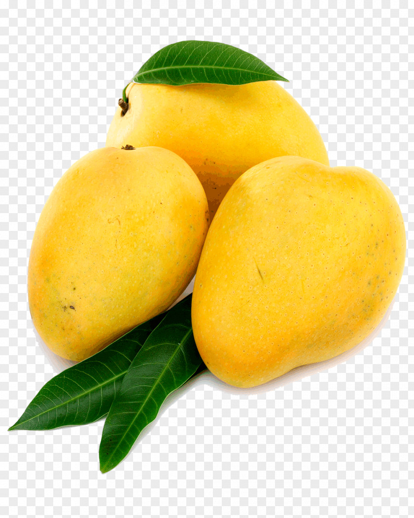 Mango India Juice Nectar Alphonso PNG