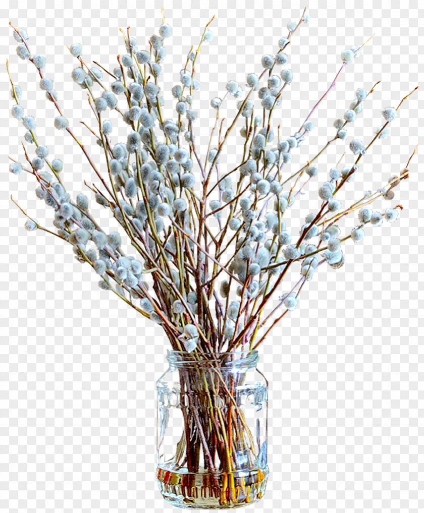 Spring Beautiful Vase Free Download Salix Alba Palm Sunday Tulip Daphne Willow Clip Art PNG