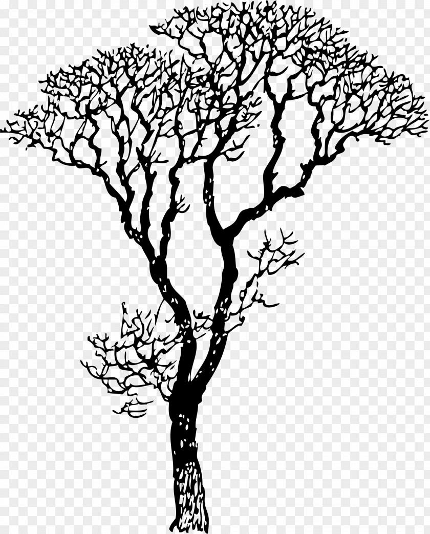 Tree Wall Decal Trunk Branch PNG