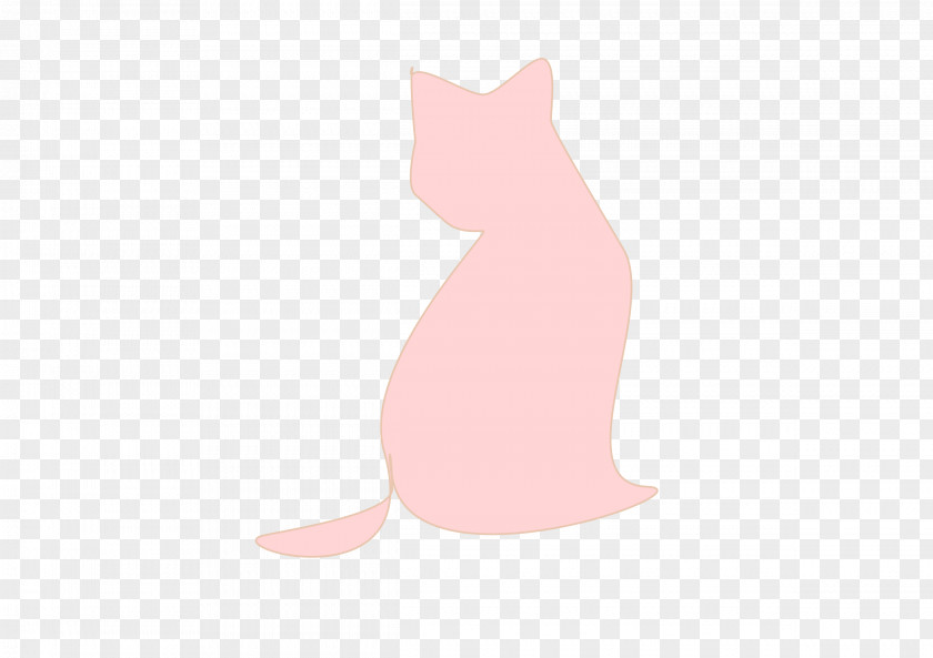 Cat Kitten Whiskers Mammal Carnivora PNG