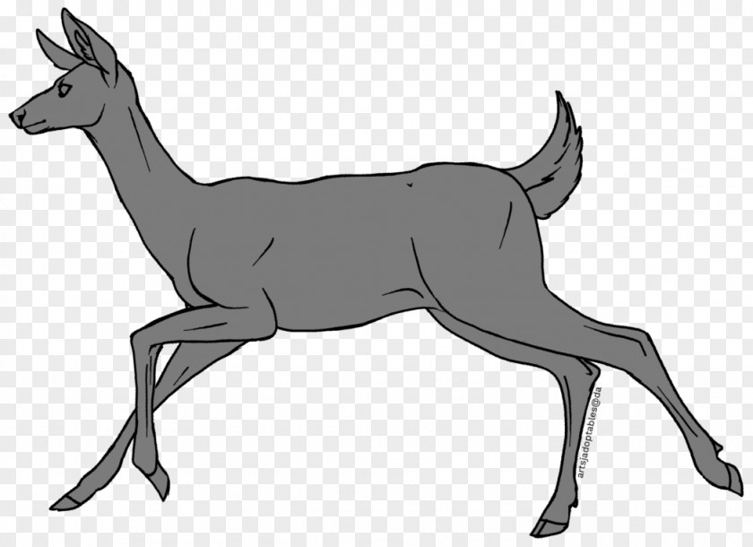 Deer Reindeer Elk Musk Antelope PNG