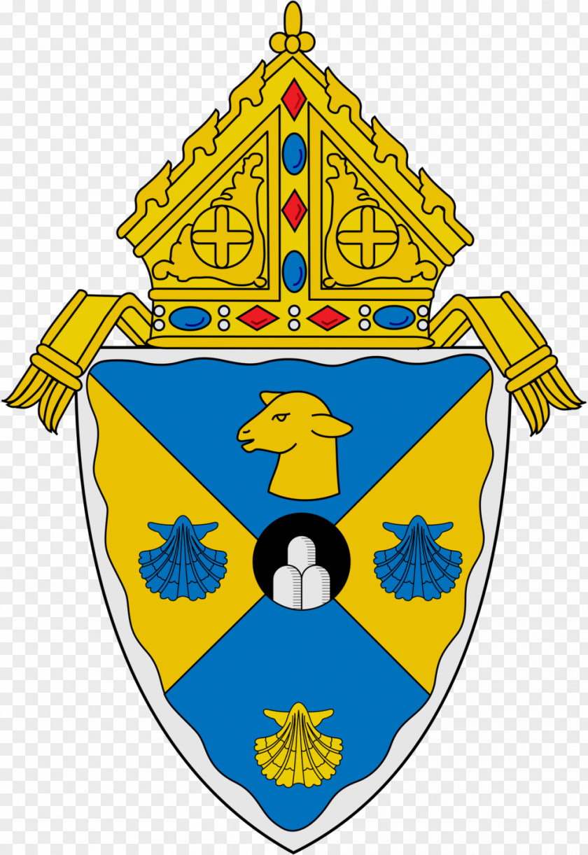 Diocese Of Rockville Centre Brooklyn Priest Roman Catholic Ogdensburg PNG