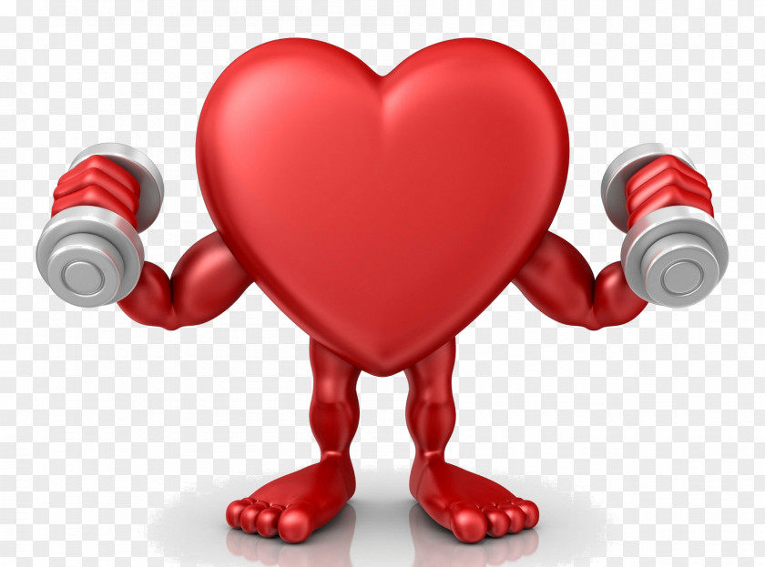 Heart Cardiopulmonary Rehabilitation Cardiology Physical Medicine And Cardiovascular Disease PNG