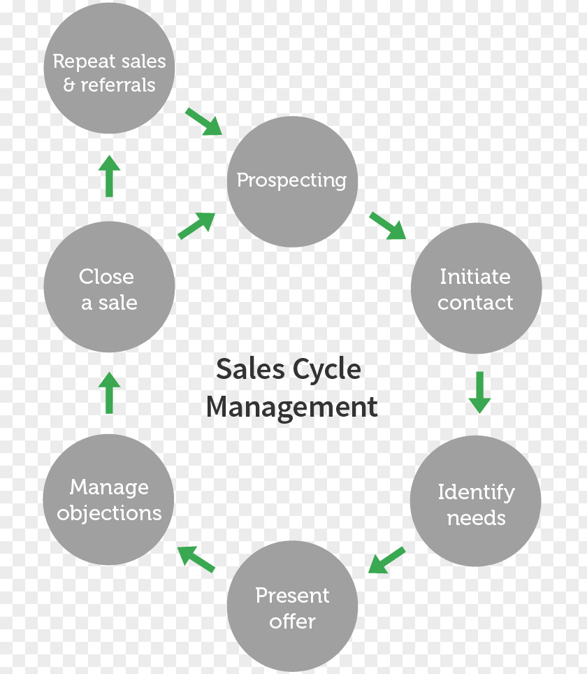 Marketing Sales Process Management Organization PNG