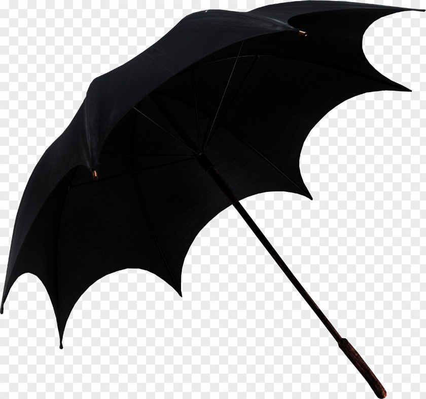 Umbrella Penguin's Fashion PNG