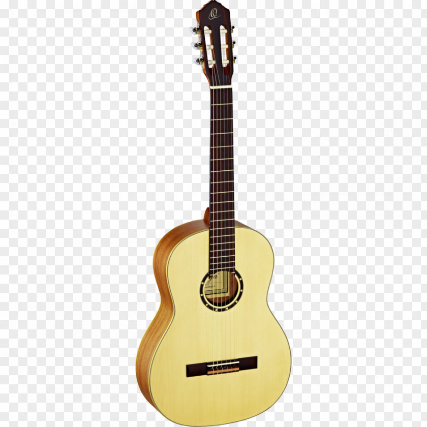 Amancio Ortega Classical Guitar Steel-string Acoustic Takamine Guitars Acoustic-electric PNG