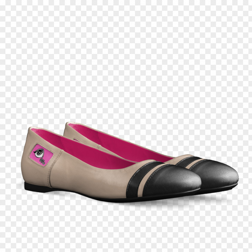 Ballet Flat Shoe PNG