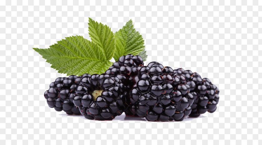 Black Raspberries Photos Frutti Di Bosco Raspberry Blackberry Fruit PNG