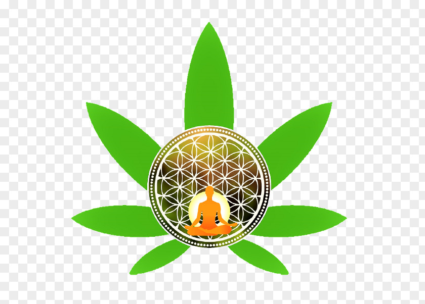 Canna Flower Medical Cannabis Vector Graphics Joint Marijuana PNG
