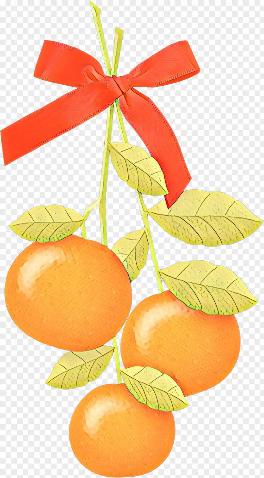 Clementine Mandarin Orange Tangerine Grapefruit Food PNG