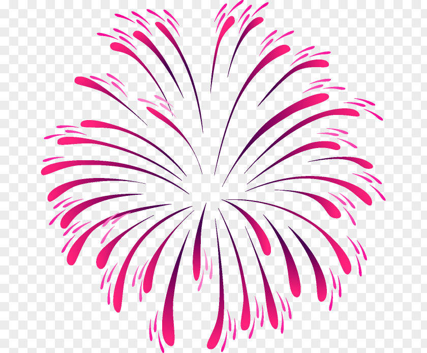 Fireworks Pyrotechnics Drawing Directupload Clip Art PNG