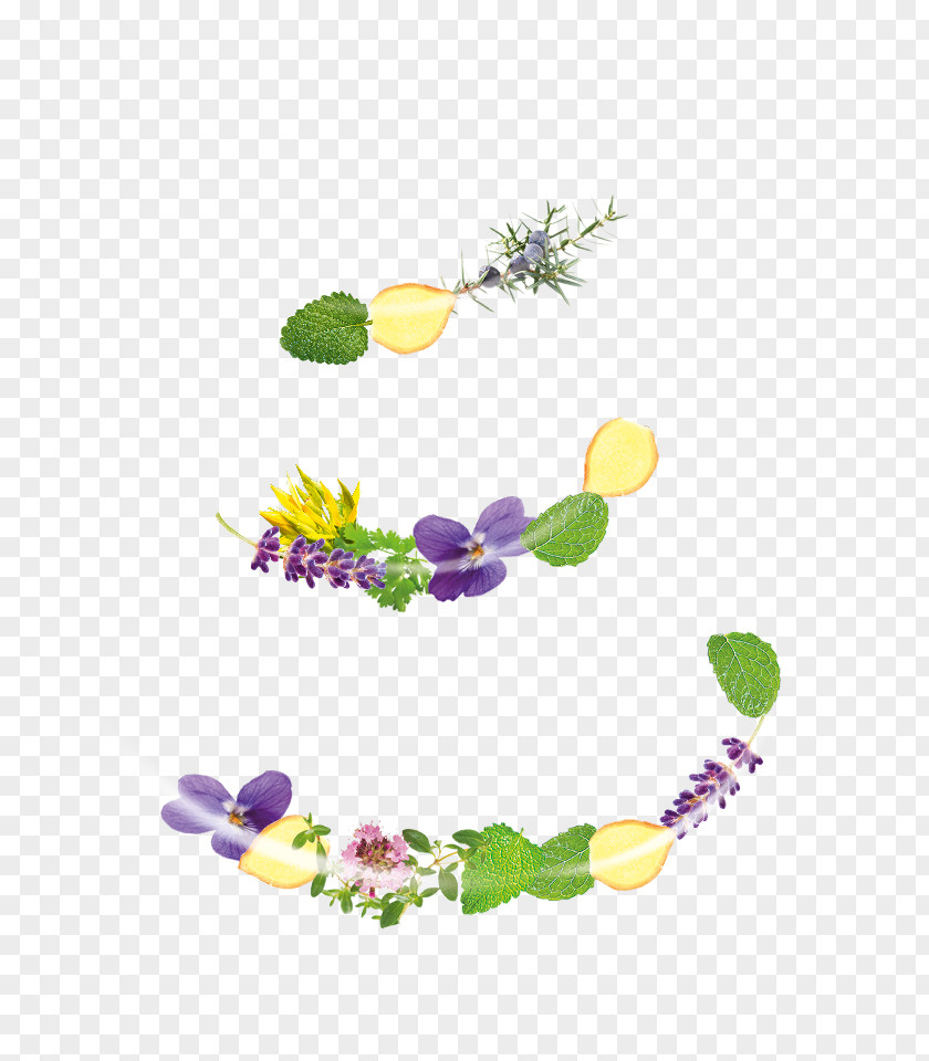 Floral Design Product Graphics Font PNG
