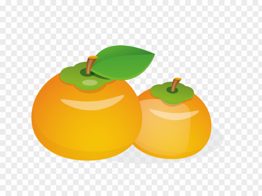 Persimmon Clementine Euclidean Vector Tangerine PNG