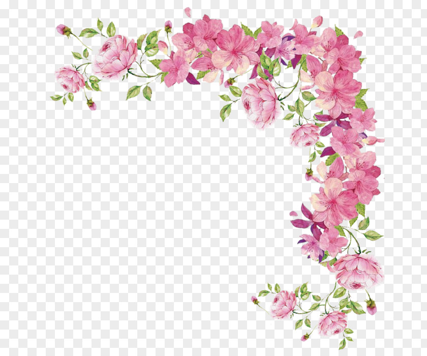 Pink Flower Plant Cut Flowers Lilac PNG