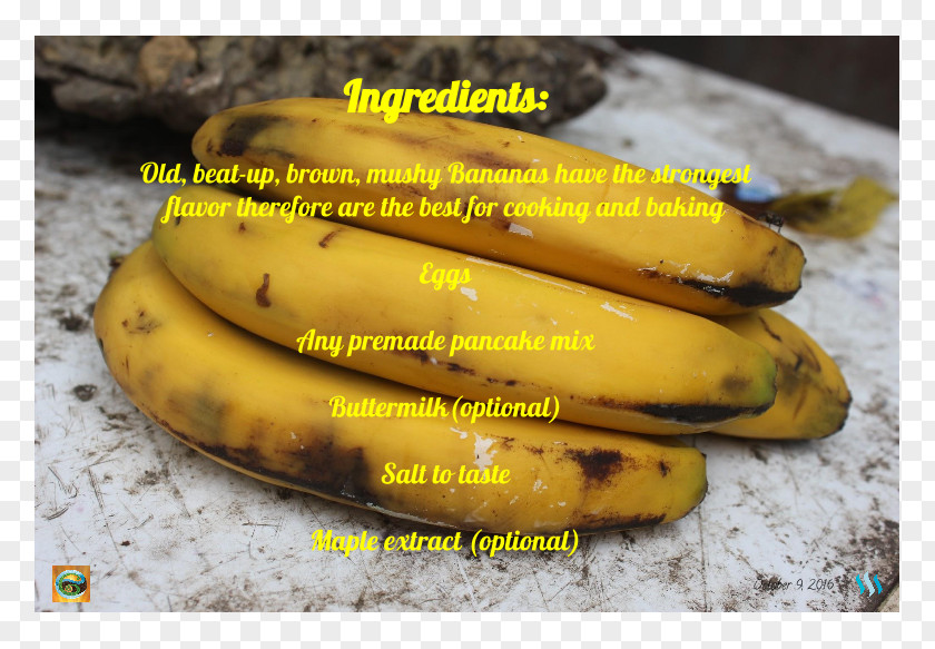 Banana Pancake Saba Cooking Musa Acuminata PNG
