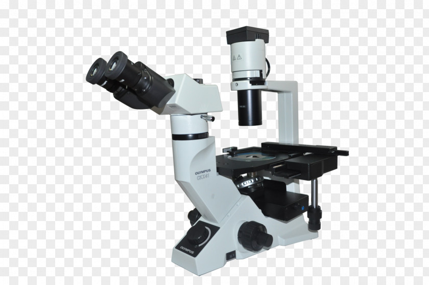 Microscope Fluorescence Optical Instrument Optics PNG