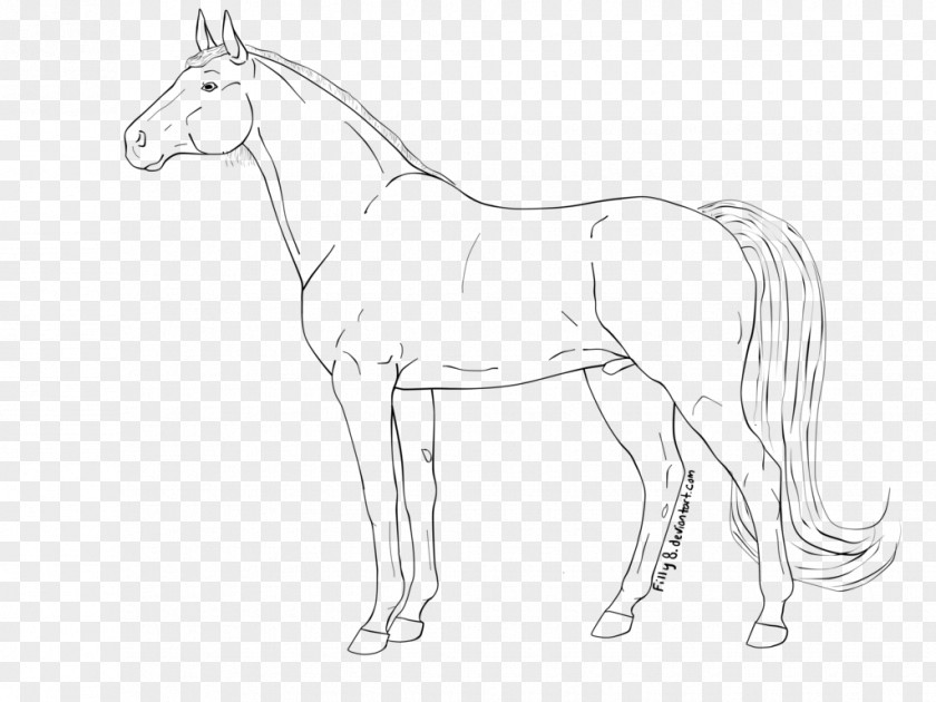 Mustang Pony Line Art Foal Star Stable PNG