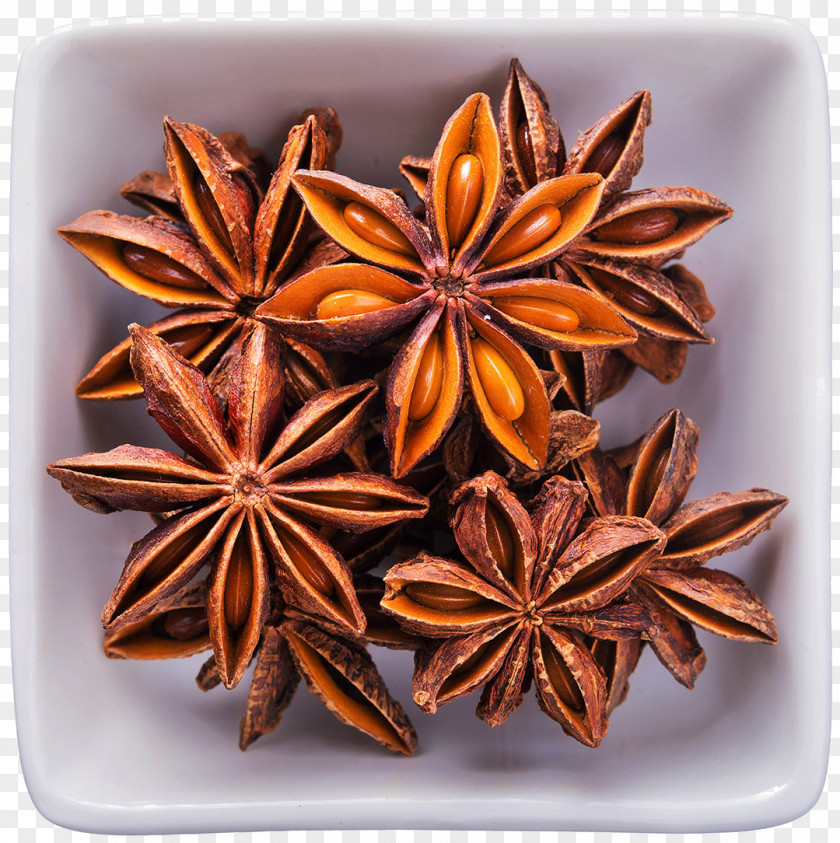 Star Anise Spice Basil Infusion PNG