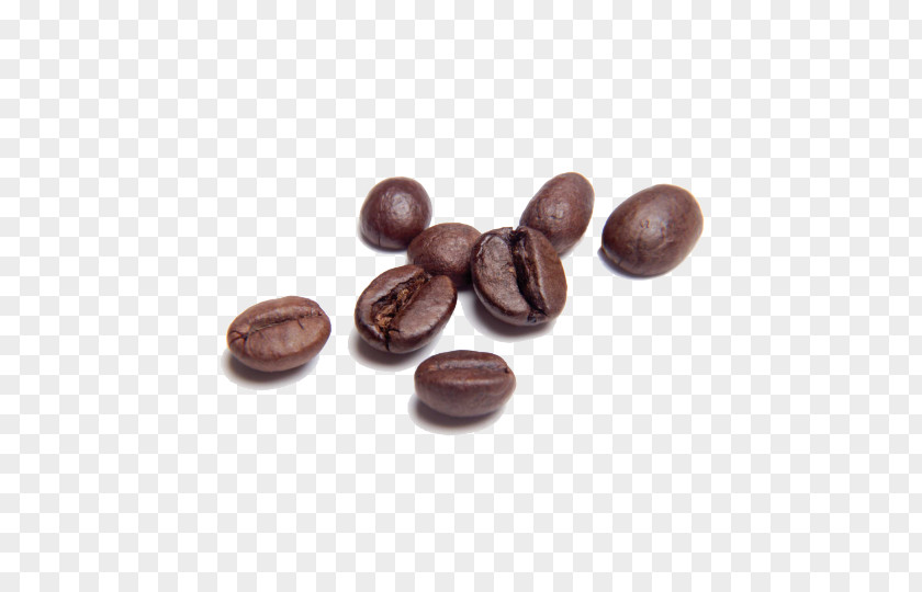Coffee Single-origin Cafe Chocolate-covered Bean Jamaican Blue Mountain PNG