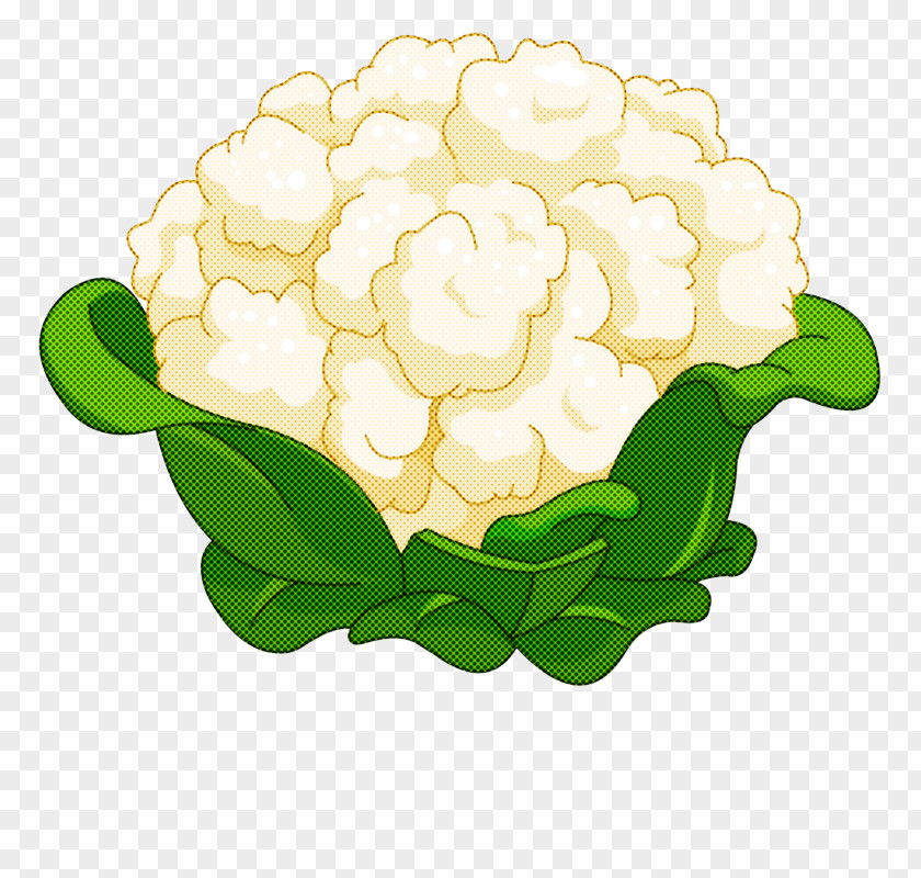 Floral Design PNG