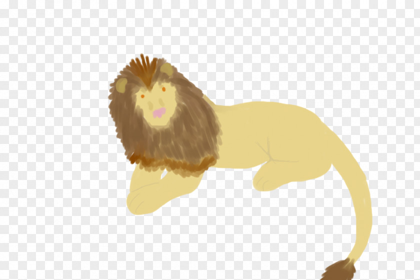 Lion Drawings Step By Old World Monkeys Roar Cat PNG