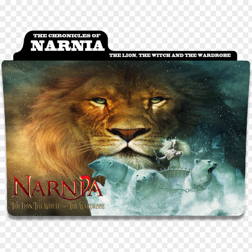 Lion The Lion, Witch And Wardrobe Chronicles Of Narnia Film Mammal PNG