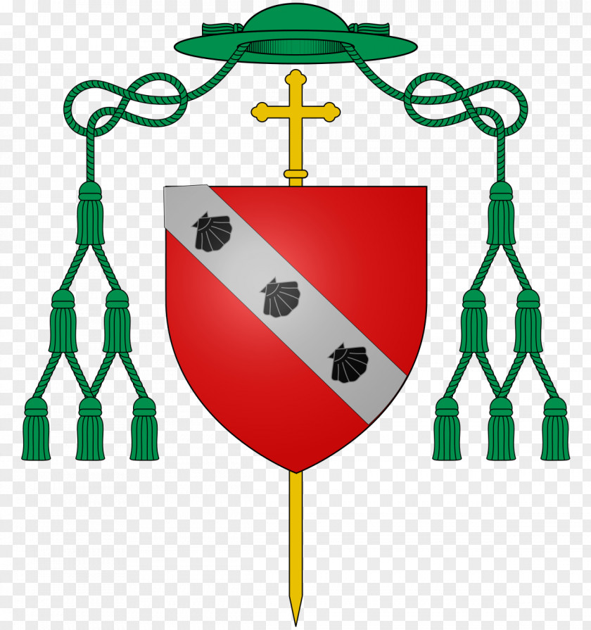 Pontifical University Of St. Bonaventure Roman Catholic Archdiocese Newark Saint Thomas Aquinas School PNG